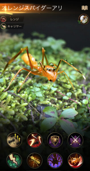 オレンジスパイダーアリ | ぼくのまにまに